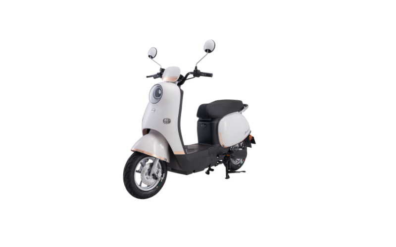 xe m&aacute;y điện rosa dibao